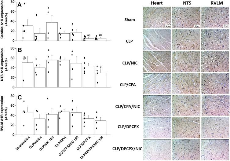 https://cdn.ncbi.nlm.nih.gov/pmc/blobs/843f/10587061/b9ed8684ccbf/41598_2023_44601_Fig8_HTML.jpg