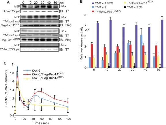 https://cdn.ncbi.nlm.nih.gov/pmc/blobs/843f/3128523/114e4671ecaf/2198fig7.jpg