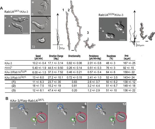 https://cdn.ncbi.nlm.nih.gov/pmc/blobs/843f/3128523/5ba49e2b86cc/2198fig6.jpg