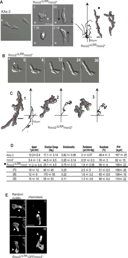 https://cdn.ncbi.nlm.nih.gov/pmc/blobs/843f/3128523/fbafc203ecaa/2198fig3.jpg