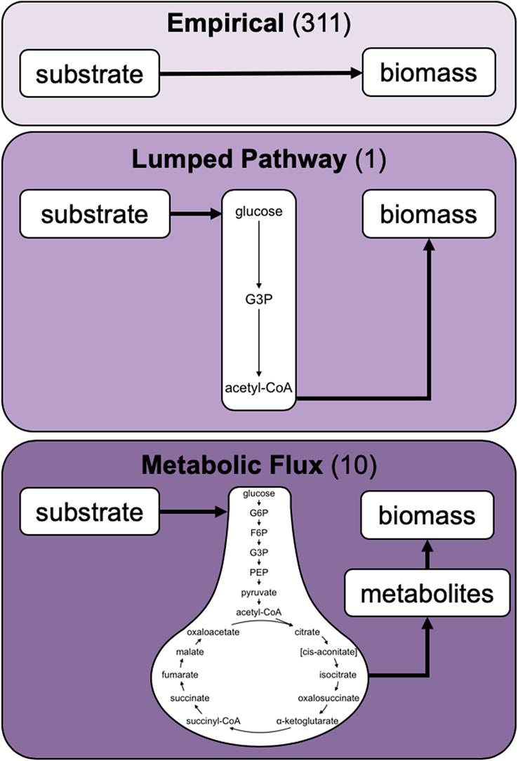 https://cdn.ncbi.nlm.nih.gov/pmc/blobs/843f/6549905/bbb5d4bff38b/gr7.jpg