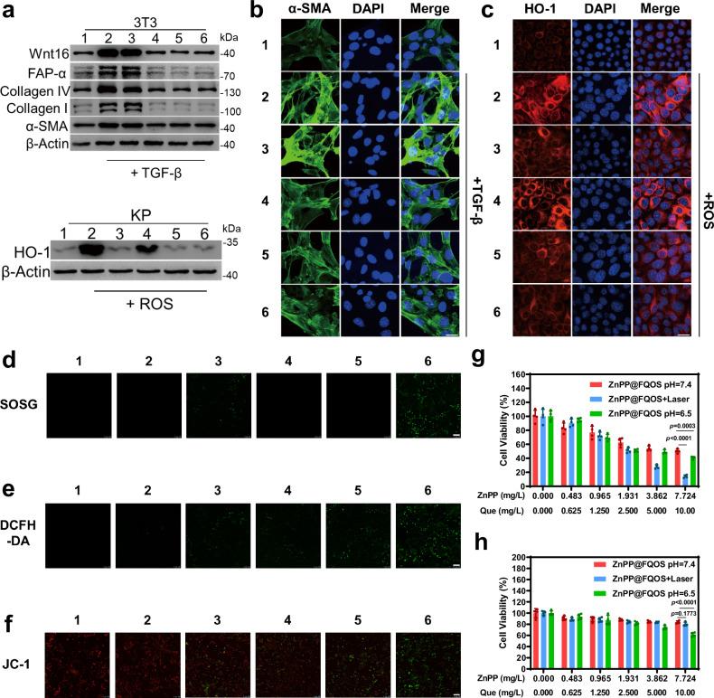https://cdn.ncbi.nlm.nih.gov/pmc/blobs/8441/11704041/492f133050a8/41467_2024_55658_Fig4_HTML.jpg
