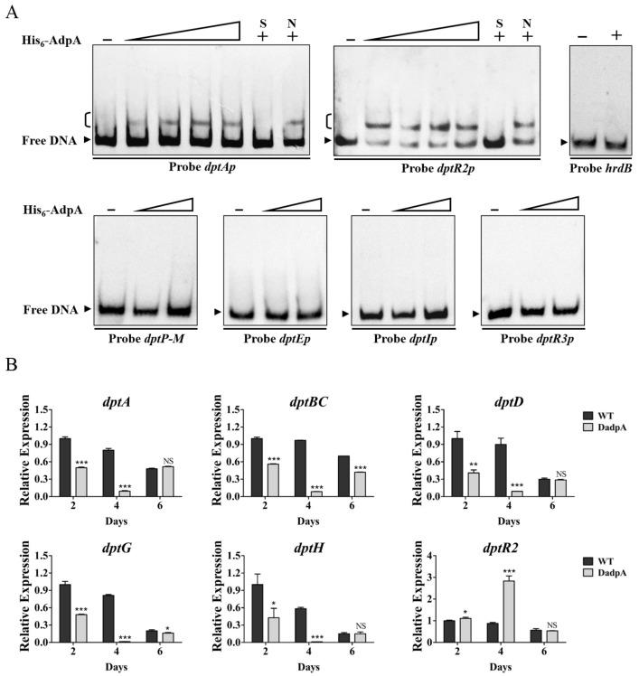 https://cdn.ncbi.nlm.nih.gov/pmc/blobs/8442/9404778/23eabfa0a1a6/antibiotics-11-01065-g007.jpg