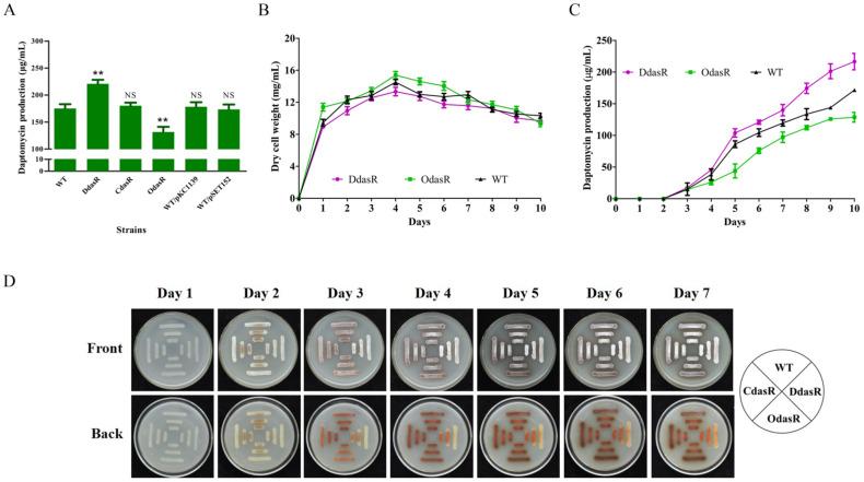 https://cdn.ncbi.nlm.nih.gov/pmc/blobs/8442/9404778/3dc74484be9d/antibiotics-11-01065-g001.jpg