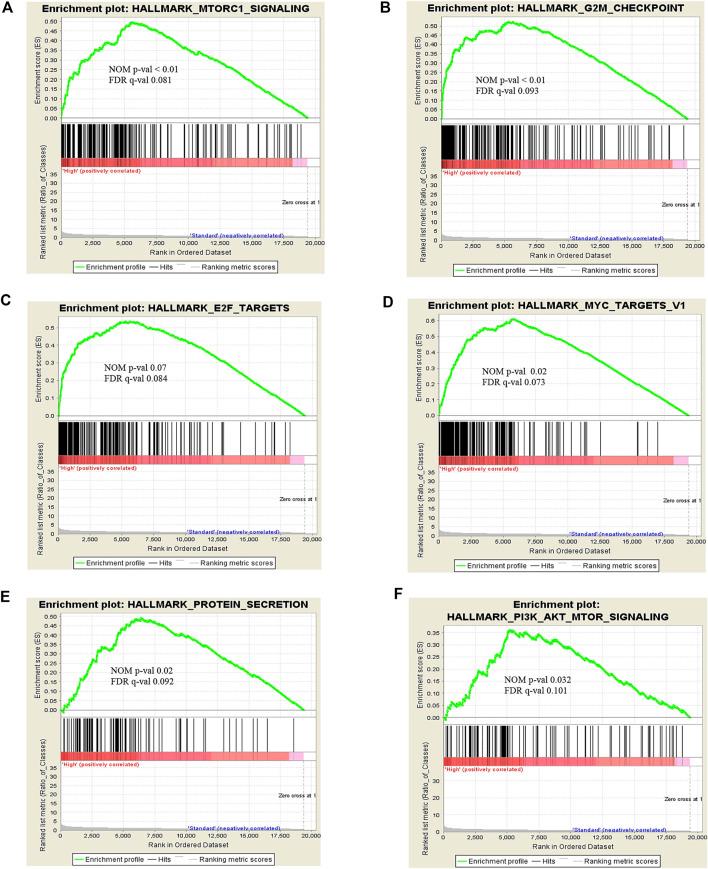 https://cdn.ncbi.nlm.nih.gov/pmc/blobs/8443/8262241/c619e1b54e0a/pore-27-606567-g003.jpg