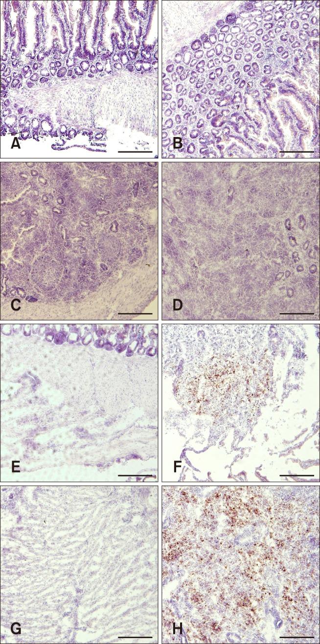 https://cdn.ncbi.nlm.nih.gov/pmc/blobs/8446/5974519/d8c9f861e684/jvs-19-375-g005.jpg
