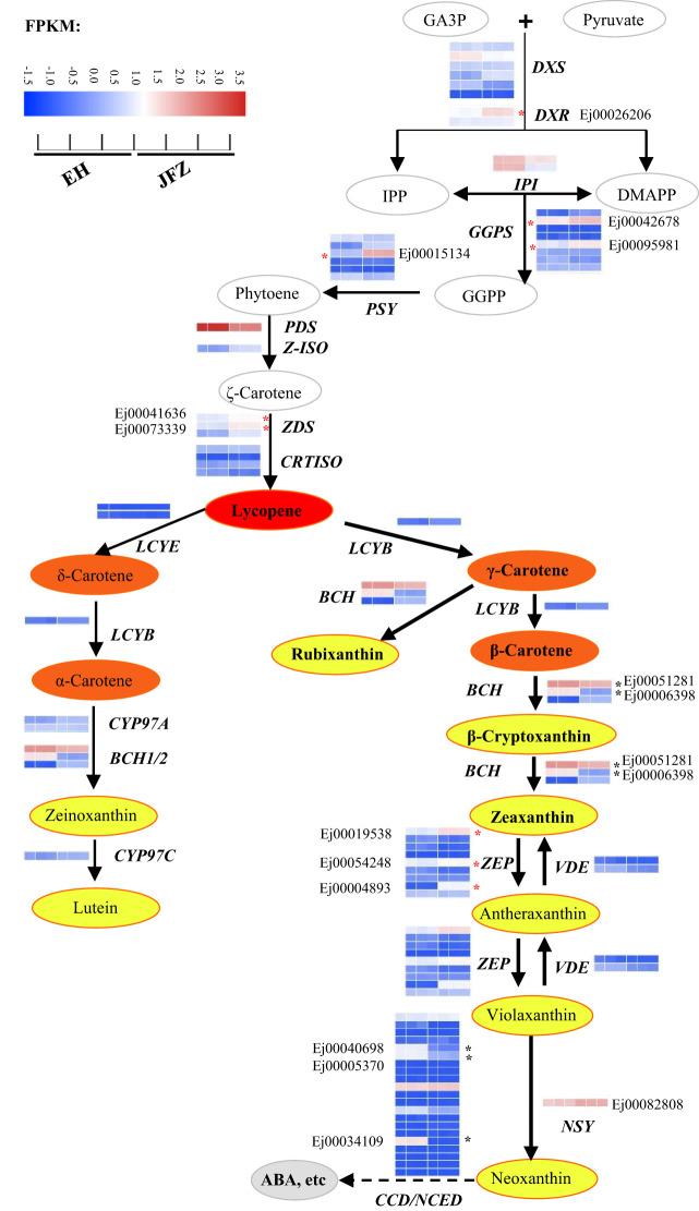 https://cdn.ncbi.nlm.nih.gov/pmc/blobs/8448/10611460/e57b6c24aa62/fpls-14-1285456-g004.jpg