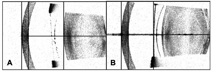 https://cdn.ncbi.nlm.nih.gov/pmc/blobs/8448/11299284/947a5cfb57e5/12886_2024_3605_Fig2_HTML.jpg