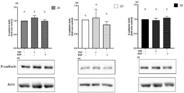 https://cdn.ncbi.nlm.nih.gov/pmc/blobs/8448/8876057/1766cf4f6435/ijms-23-02270-g012.jpg