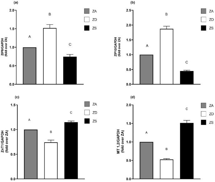 https://cdn.ncbi.nlm.nih.gov/pmc/blobs/8448/8876057/5a9d06328620/ijms-23-02270-g002.jpg