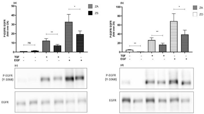 https://cdn.ncbi.nlm.nih.gov/pmc/blobs/8448/8876057/6829e7d80725/ijms-23-02270-g010.jpg