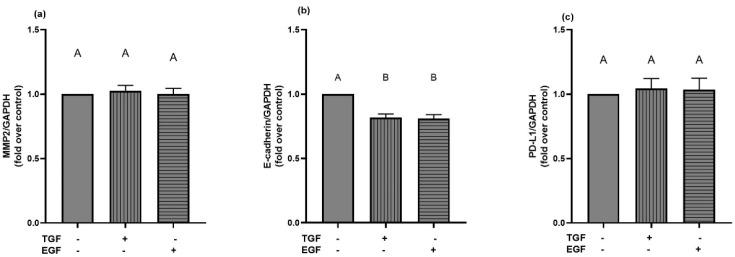 https://cdn.ncbi.nlm.nih.gov/pmc/blobs/8448/8876057/8748c0fd65e4/ijms-23-02270-g011.jpg