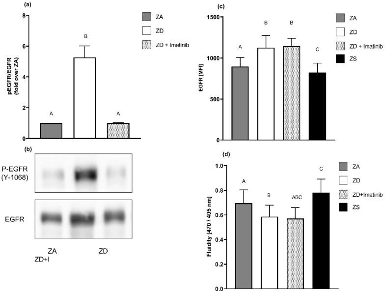 https://cdn.ncbi.nlm.nih.gov/pmc/blobs/8448/8876057/b84f4aa2e048/ijms-23-02270-g006.jpg