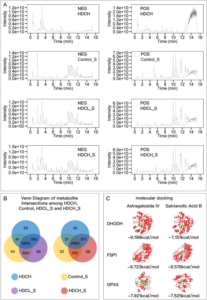 https://cdn.ncbi.nlm.nih.gov/pmc/blobs/844a/11683366/50e0128176c0/fphar-15-1447546-g001.jpg