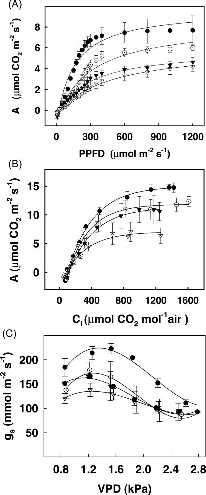https://cdn.ncbi.nlm.nih.gov/pmc/blobs/844b/3733148/312c41073e4b/exbotj_ert162_f0003.jpg