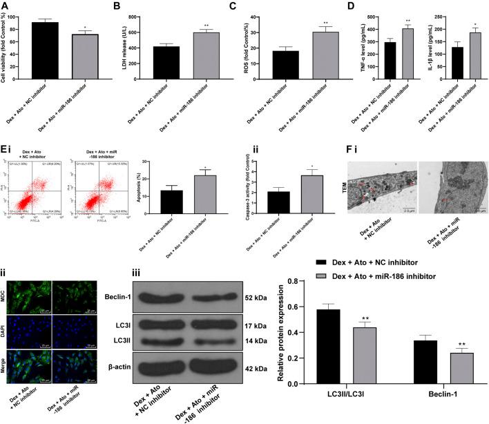 https://cdn.ncbi.nlm.nih.gov/pmc/blobs/844c/8115218/c1121c20681b/fphar-12-583975-g006.jpg