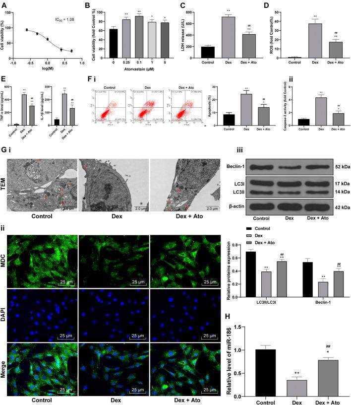 https://cdn.ncbi.nlm.nih.gov/pmc/blobs/844c/8115218/c16216caa9ac/fphar-12-583975-g005.jpg