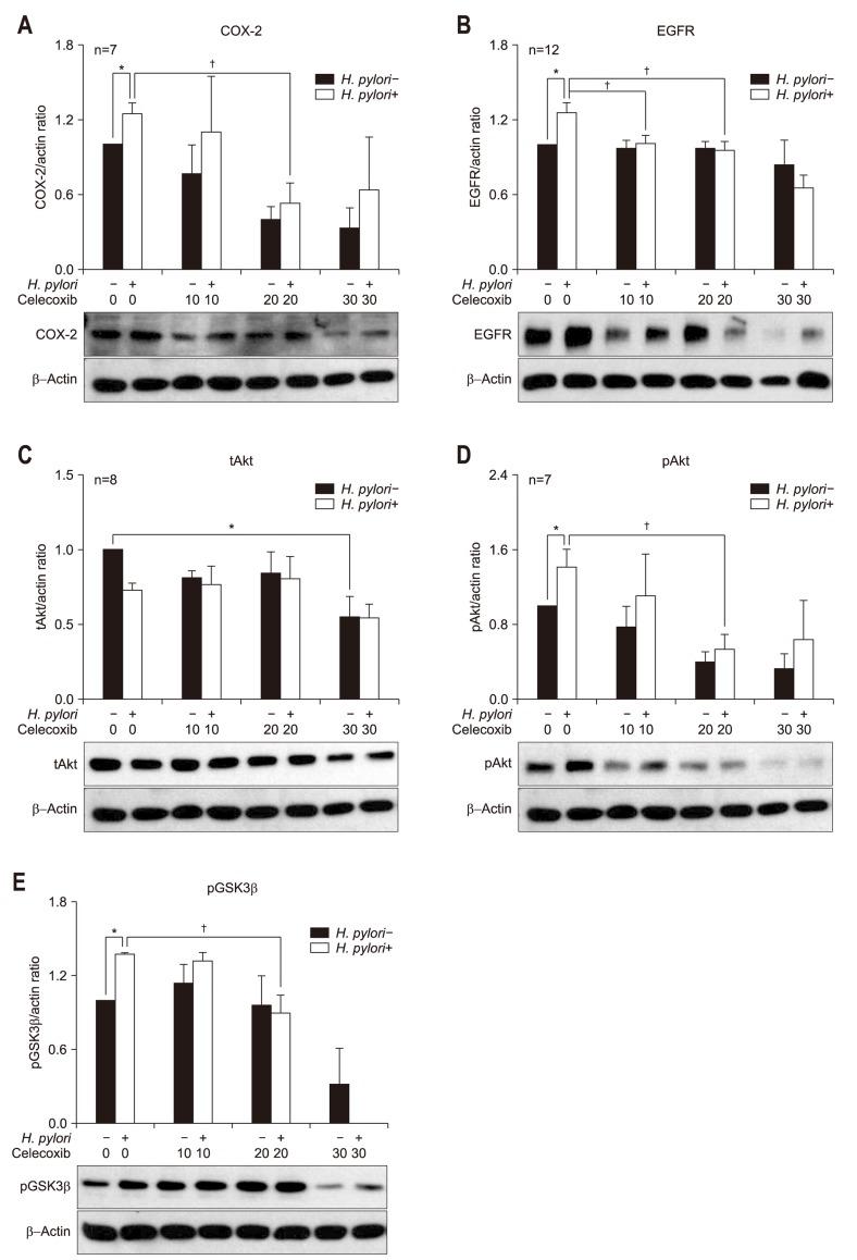 https://cdn.ncbi.nlm.nih.gov/pmc/blobs/844d/3782670/a862ffd2470b/gnl-7-552-g002.jpg