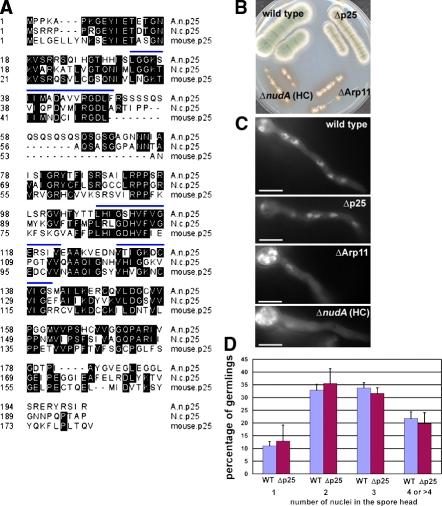 https://cdn.ncbi.nlm.nih.gov/pmc/blobs/844e/3216330/606f23efb6c4/JCB_201011022_RGB_Fig1.jpg