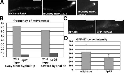 https://cdn.ncbi.nlm.nih.gov/pmc/blobs/844e/3216330/f2859051f4e6/JCB_201011022_GS_Fig2.jpg