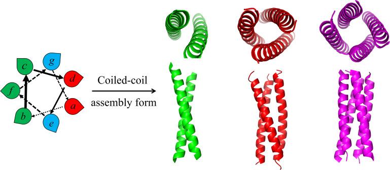 https://cdn.ncbi.nlm.nih.gov/pmc/blobs/844f/12090764/03ed4f59e0f1/jvi.02289-24.f004.jpg