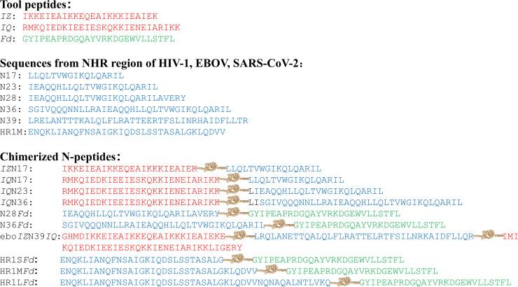https://cdn.ncbi.nlm.nih.gov/pmc/blobs/844f/12090764/316448d46b98/jvi.02289-24.f005.jpg