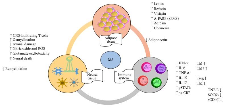 https://cdn.ncbi.nlm.nih.gov/pmc/blobs/844f/5046034/586702eae69a/MI2016-4036232.002.jpg