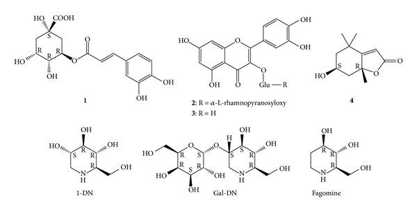 https://cdn.ncbi.nlm.nih.gov/pmc/blobs/8450/3870074/29ca95a288fe/ECAM2013-948627.002.jpg