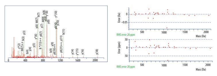 https://cdn.ncbi.nlm.nih.gov/pmc/blobs/8451/5388305/b7f4369d3a4e/medscimonit-23-1636-g005.jpg