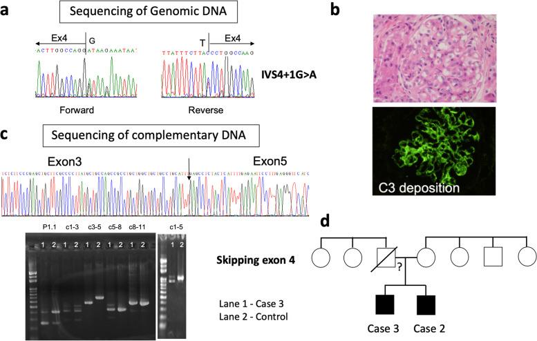 https://cdn.ncbi.nlm.nih.gov/pmc/blobs/8455/9375402/27dee130e477/12969_2022_722_Fig2_HTML.jpg