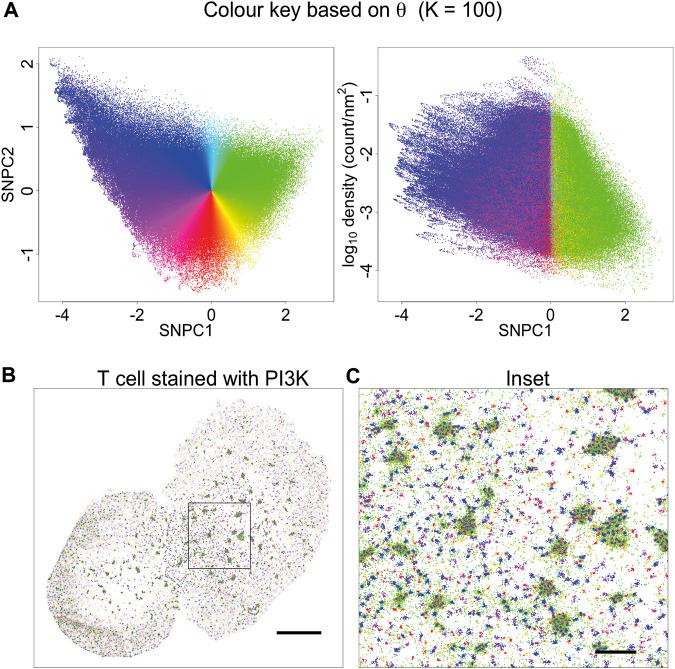 https://cdn.ncbi.nlm.nih.gov/pmc/blobs/8455/9581049/a66dc00e5336/fbinf-01-724127-g004.jpg