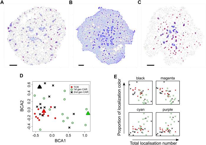 https://cdn.ncbi.nlm.nih.gov/pmc/blobs/8455/9581049/eeac35b1932f/fbinf-01-724127-g006.jpg