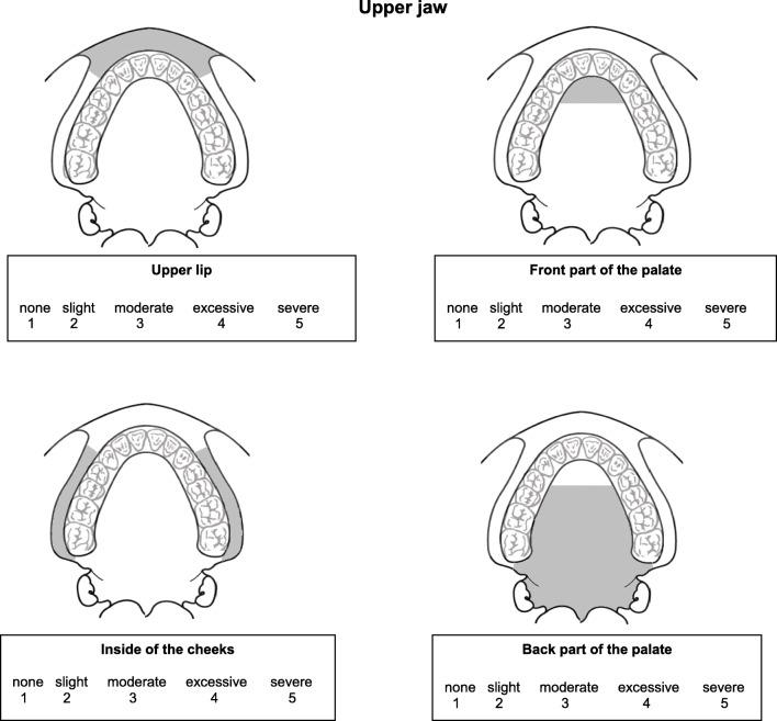 https://cdn.ncbi.nlm.nih.gov/pmc/blobs/8456/7544722/b6abe7ba089c/784_2020_3276_Fig1a_HTML.jpg