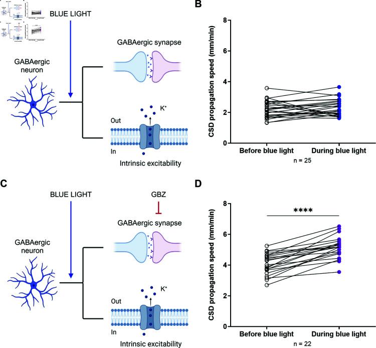 https://cdn.ncbi.nlm.nih.gov/pmc/blobs/8458/12136302/4d9d6cfa8314/pcbi.1013099.g003.jpg