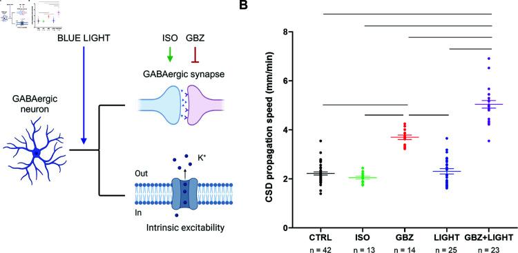 https://cdn.ncbi.nlm.nih.gov/pmc/blobs/8458/12136302/66c59500f9f0/pcbi.1013099.g002.jpg