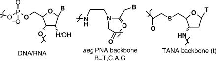https://cdn.ncbi.nlm.nih.gov/pmc/blobs/8459/2175367/f9b844338e8b/gkm935f1.jpg