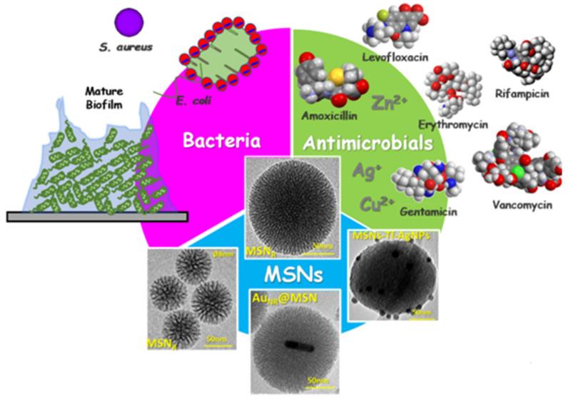 https://cdn.ncbi.nlm.nih.gov/pmc/blobs/8459/9414236/8a58c60fdf0c/nanomaterials-12-02848-g002.jpg