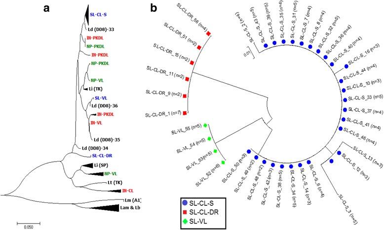 https://cdn.ncbi.nlm.nih.gov/pmc/blobs/845a/5741890/2d15e9480991/12879_2017_2883_Fig3_HTML.jpg