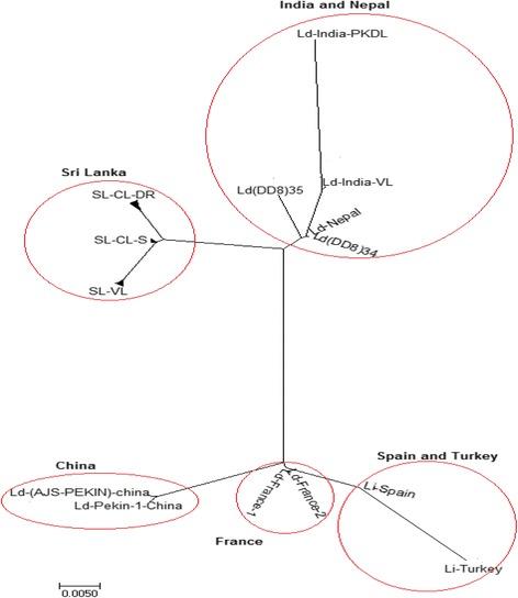 https://cdn.ncbi.nlm.nih.gov/pmc/blobs/845a/5741890/497b0a5e30ed/12879_2017_2883_Fig2_HTML.jpg