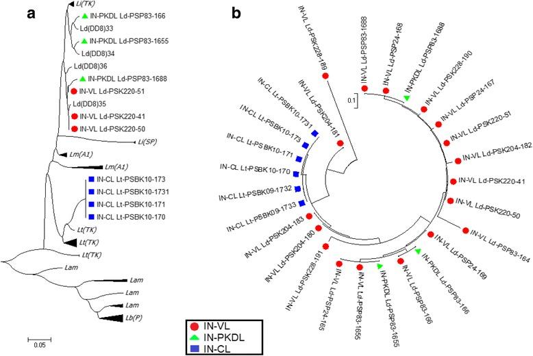 https://cdn.ncbi.nlm.nih.gov/pmc/blobs/845a/5741890/924005b49927/12879_2017_2883_Fig4_HTML.jpg