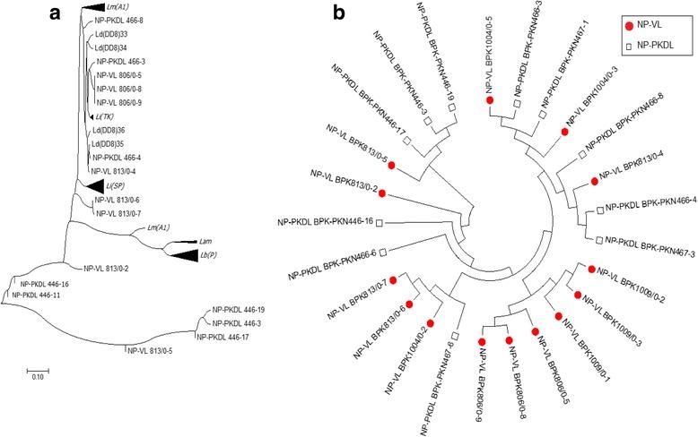 https://cdn.ncbi.nlm.nih.gov/pmc/blobs/845a/5741890/eb0647edf1d1/12879_2017_2883_Fig5_HTML.jpg