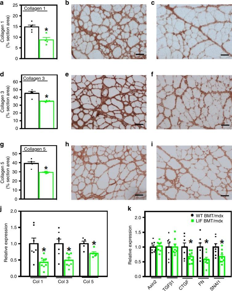 https://cdn.ncbi.nlm.nih.gov/pmc/blobs/845a/6594976/160fe0060abc/41467_2019_10614_Fig5_HTML.jpg