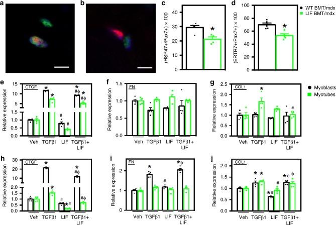 https://cdn.ncbi.nlm.nih.gov/pmc/blobs/845a/6594976/4dfdb69fa1cd/41467_2019_10614_Fig7_HTML.jpg