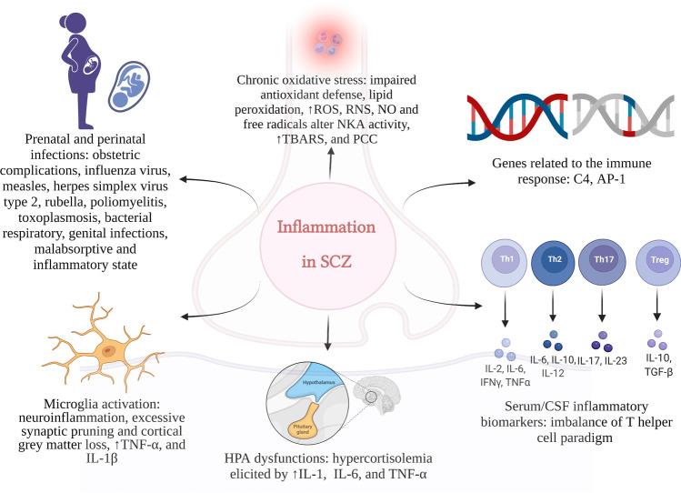 https://cdn.ncbi.nlm.nih.gov/pmc/blobs/845a/9463235/38d536aeca8f/12035_2022_2976_Fig2_HTML.jpg