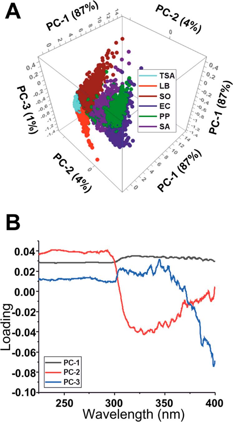 https://cdn.ncbi.nlm.nih.gov/pmc/blobs/845d/11876133/c21df5cdb2a7/fchem-13-1530955-g004.jpg