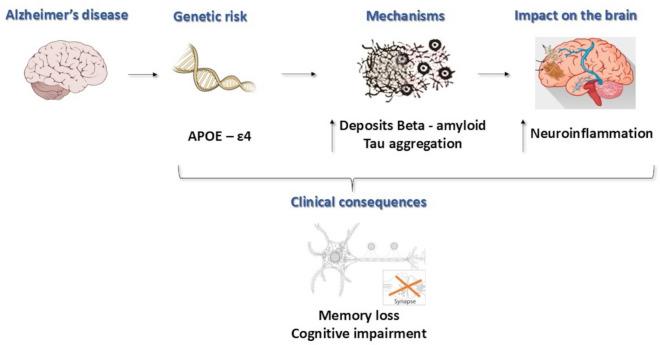 https://cdn.ncbi.nlm.nih.gov/pmc/blobs/845e/12037765/02e5ec953561/41598_2025_98323_Fig1_HTML.jpg