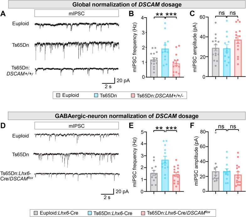 https://cdn.ncbi.nlm.nih.gov/pmc/blobs/845f/10118173/0e6d1ee74367/pbio.3002078.g002.jpg