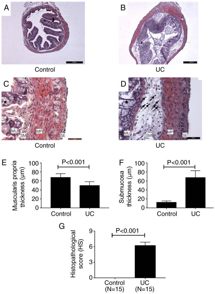 https://cdn.ncbi.nlm.nih.gov/pmc/blobs/8462/7401218/dacc2f74362f/etm-20-03-1987-g01.jpg