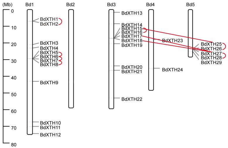 https://cdn.ncbi.nlm.nih.gov/pmc/blobs/8463/12347618/0584a58a26f1/ijms-26-07457-g004.jpg