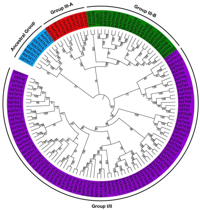 https://cdn.ncbi.nlm.nih.gov/pmc/blobs/8463/12347618/ff2918734b21/ijms-26-07457-g002.jpg